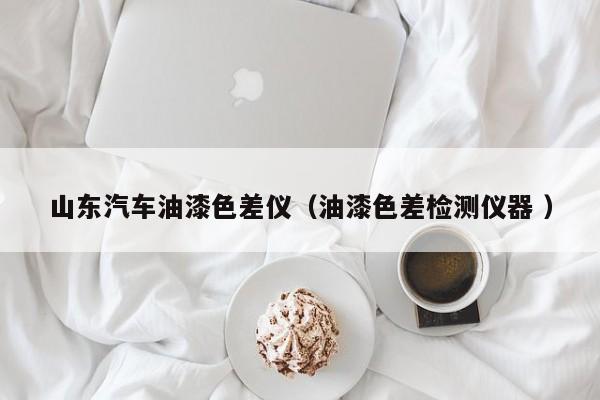 山東汽車(chē)油漆色差儀（油漆色差檢測(cè)儀器 ）